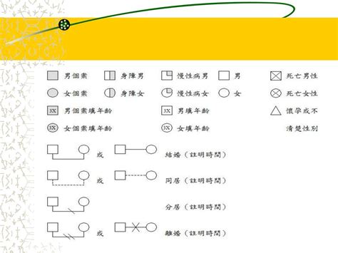 家庭關係圖畫法|免費可編輯家系圖範例與模板 